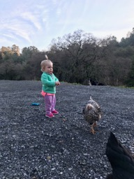 1/11/18