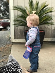 2/12/18