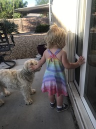 7/20/18