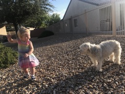 7/20/18
